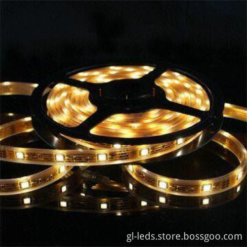LED Strip Light with 12/24V DC Input Voltage, RoHS/CE Certified